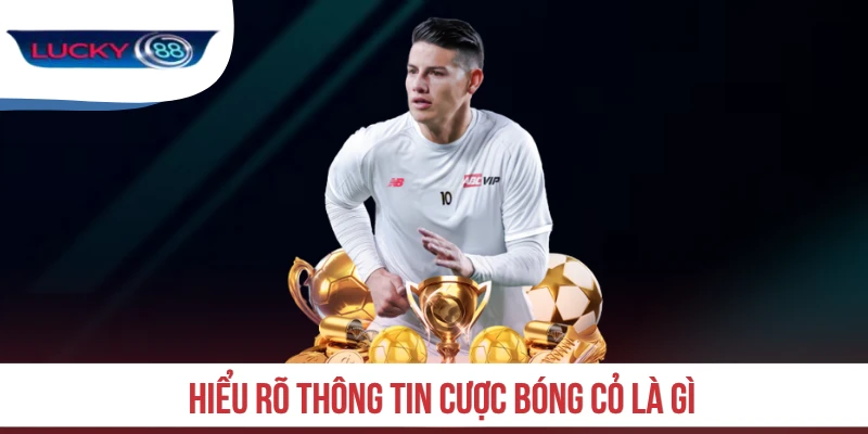 Hiểu rõ thông tin cược bóng cỏ là gì