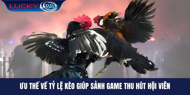 Ưu thế về tỷ lệ kèo giúp sảnh game thu hút hội viên